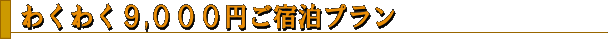 わくわく9,000円ご宿泊プラン