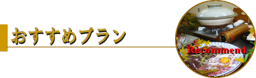 おすすめプラン