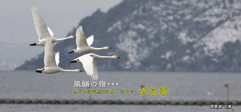 奥びわ湖天然石温泉　鈴乃や清泉閣
